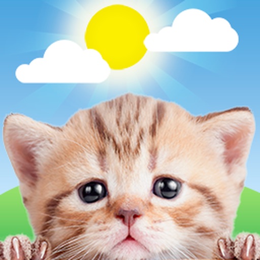 MyRadar Weather Radar Pro