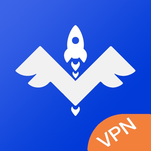 暴风V*N