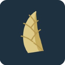 几枝Pro